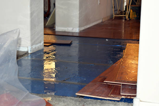 Professional Basement Flood Cleanup technician working in Rossville, GA